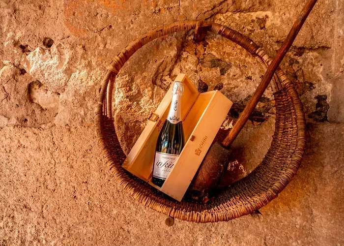 Agriturismo Mas Dei Chini